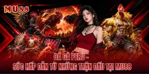 Đá Gà Peru - Sức Hấp Dẫn Từ Những Trận Đấu Tại MU88 