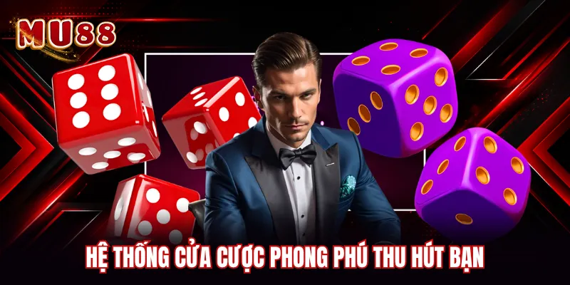 Hệ thống cửa cược phong phú thu hút bạn