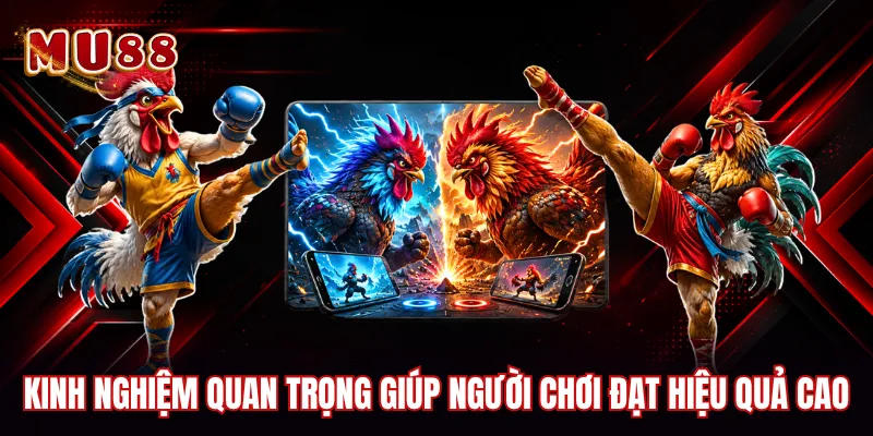 Kinh nghiệm quan trọng giúp người chơi đạt hiệu quả cao
