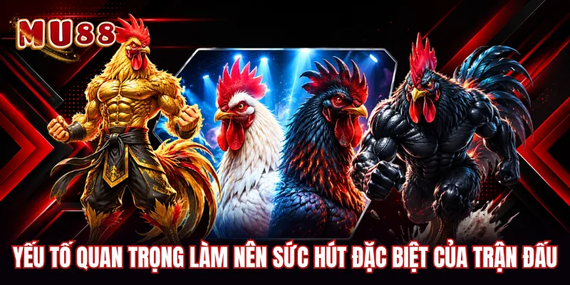Yếu tố quan trọng làm nên sức hút đặc biệt của trận đấu